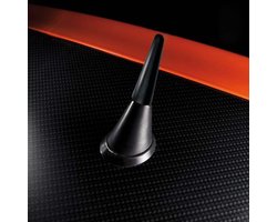 Auto Antenne - Dak Antenne - Signaal Ontvangst - Compact Formaat - 5 cm Lengte - Zwart