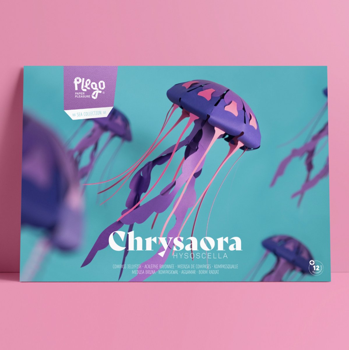 Plego 3D Design Vis - Papieren Figuur Sea Collection “CHRYSAORA HYSOSCELLA / Kompaskwal” Decoratie - Papieren Vis - Papierdecoratie voor kinderen en volwassenen - DIY Pakket - The kit contains 5 sheets of 175g coloured paper | Skill: