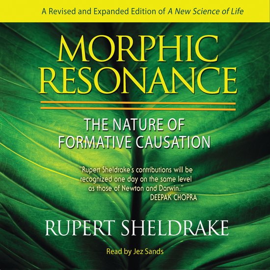 Morphic Resonance - cover