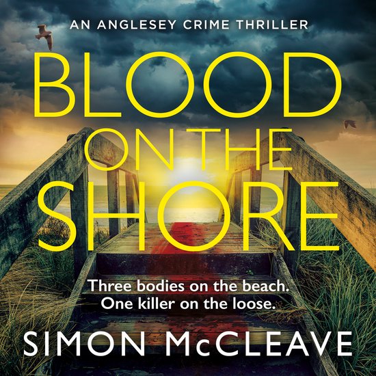 The Anglesey Series- Blood on the Shore - cover