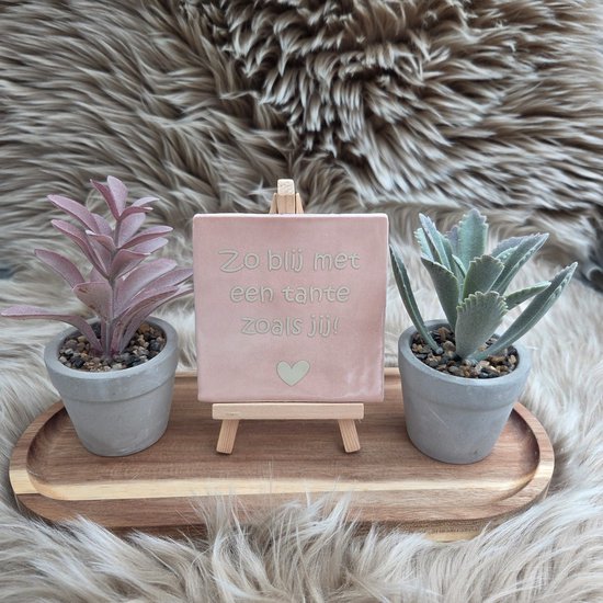 Robuust wenstegeltje – Zo Blij met een Tante zoals Jij – Robuust 10x10 cm – Spreuktegel – Cadeau voor Tante – Trendy nu – Zomaar – Zwangerschap aankondiging