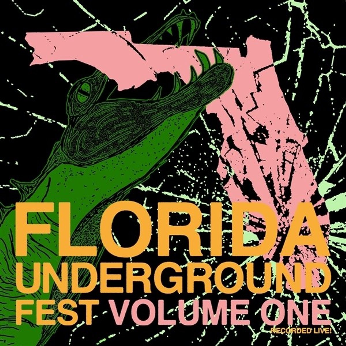 Various Artists - Florida Underground Fest Vol.1 (LP)