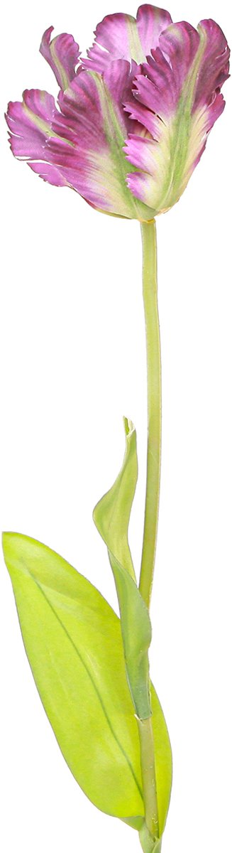 Viana Kunstbloem papegaaitulp kunstdecoratietulp paars 63cm