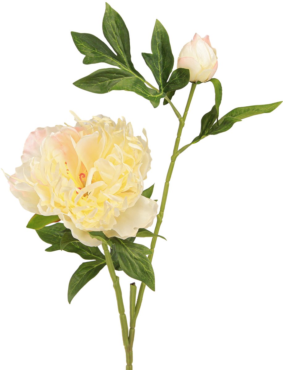 Viana Decoratie Pioenrozen Kunstbloemen Gele Bloesem L64cm 2st geel