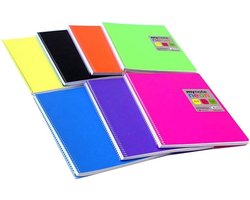 Notitieboek A4 spiraalbinding 120 vellen vierkant geruit PP-cover