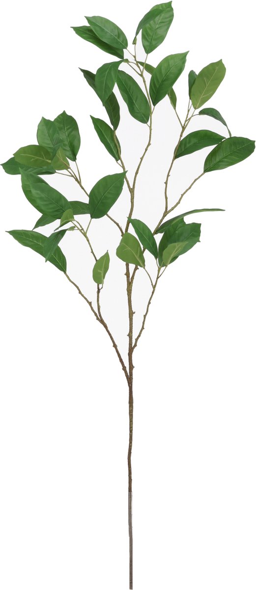 maxifleur Kunstplanten Magnolia Kunst Bladtak 115cm groen