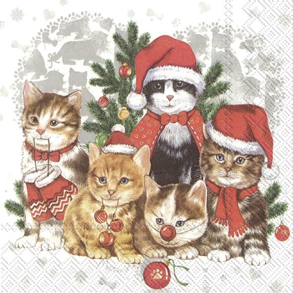 IHR Lunch servetten - Cat - Mas
