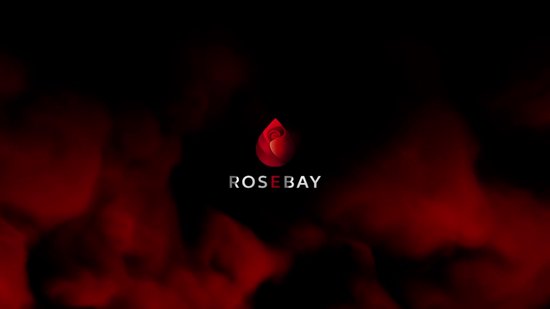Rosebay Realistische Dildo 21 cm - Dildo met Zuignap & Balzak - Anaal Dildo - Sex Toys voor Mannen en Vrouwen - Seksspeeltjes - Zwart