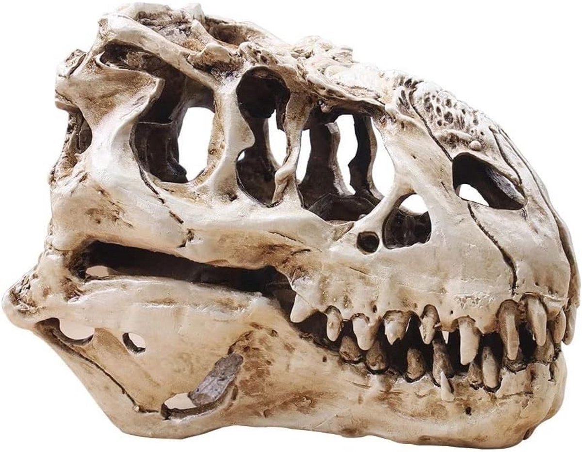 Realistische T-Rex Schedel Decoratie voor Aquarium en Huis - Hars Replica
