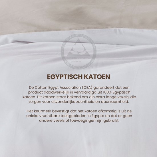 Katoen égyptien - Zwart Taille : 2 personnes (200x200/220 cm + 2 taies d'oreiller) (Dreamers Den)