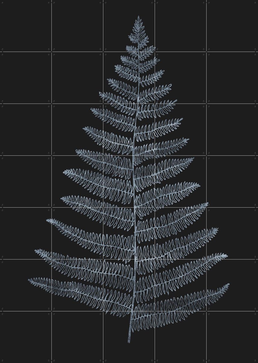 IXXI Botanica Minimalistica, Kubistika - 100 x 140 cm - Gratis ophangtool - Grote wanddecoratie en posters - Minimalisme, Illustraties, Line art