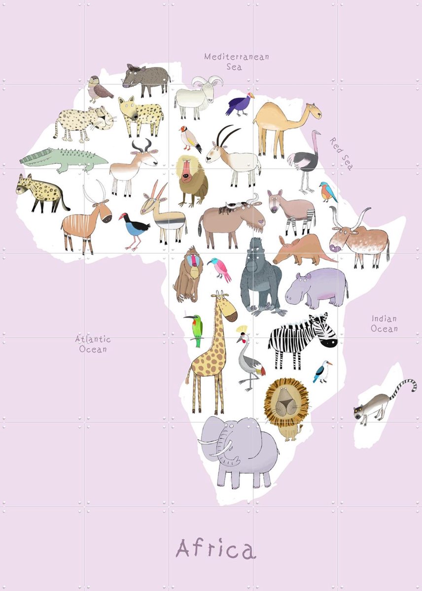 IXXI Africa - Pink, Carla Daly - 100 x 140 cm - Gratis ophangtool - Grote wanddecoratie en posters - Illustraties, Kleurrijk, Cartoonesk, Speels