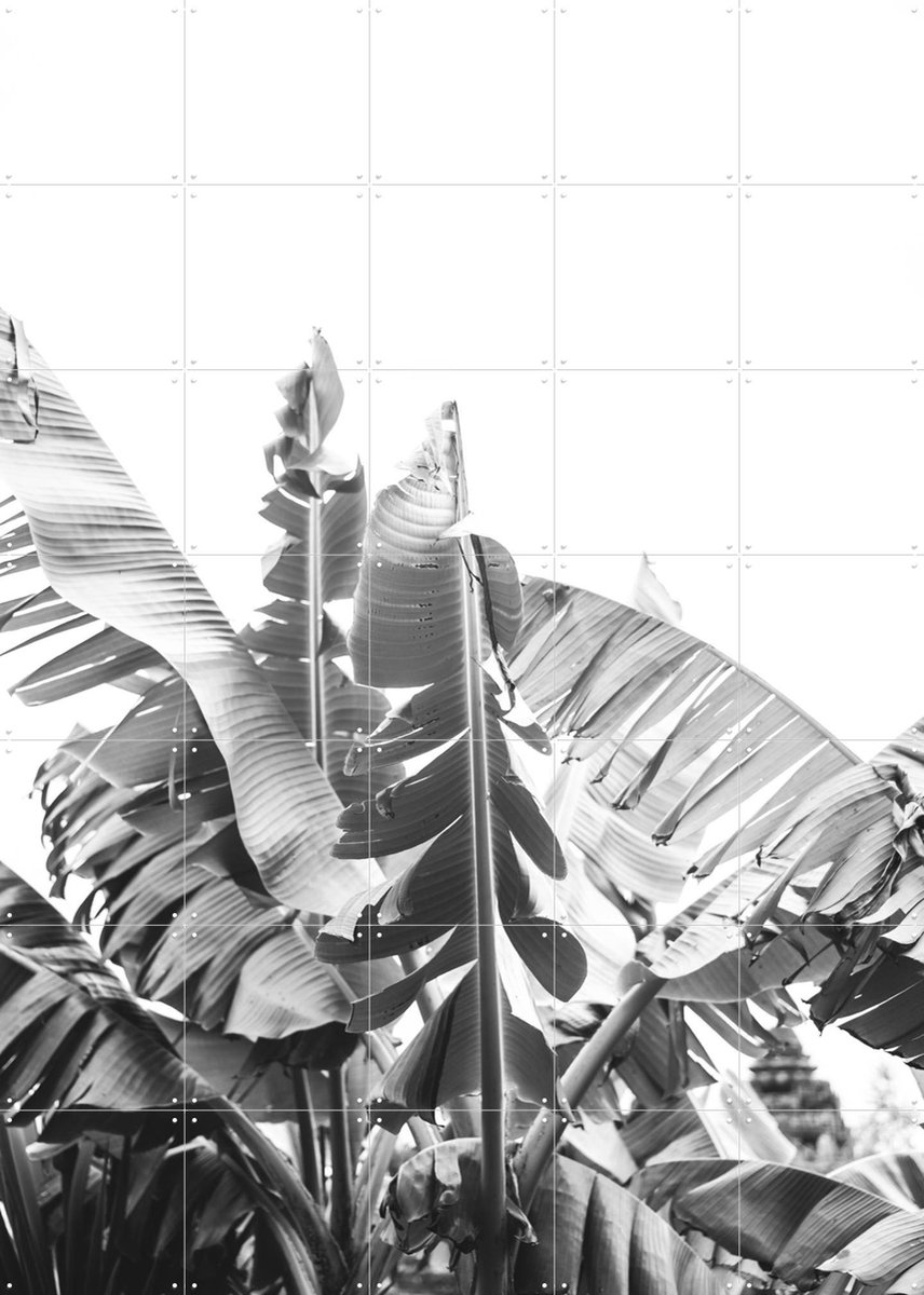 IXXI Banana Tree, Pati Photography - 100 x 140 cm - Gratis ophangtool - Grote wanddecoratie en posters - Fotografie, Slaapkamer, Woonkamer, Natuur