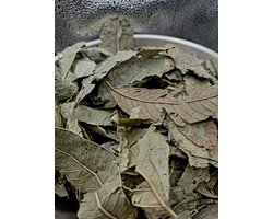 Guaveblad – Psidium guajava 50g