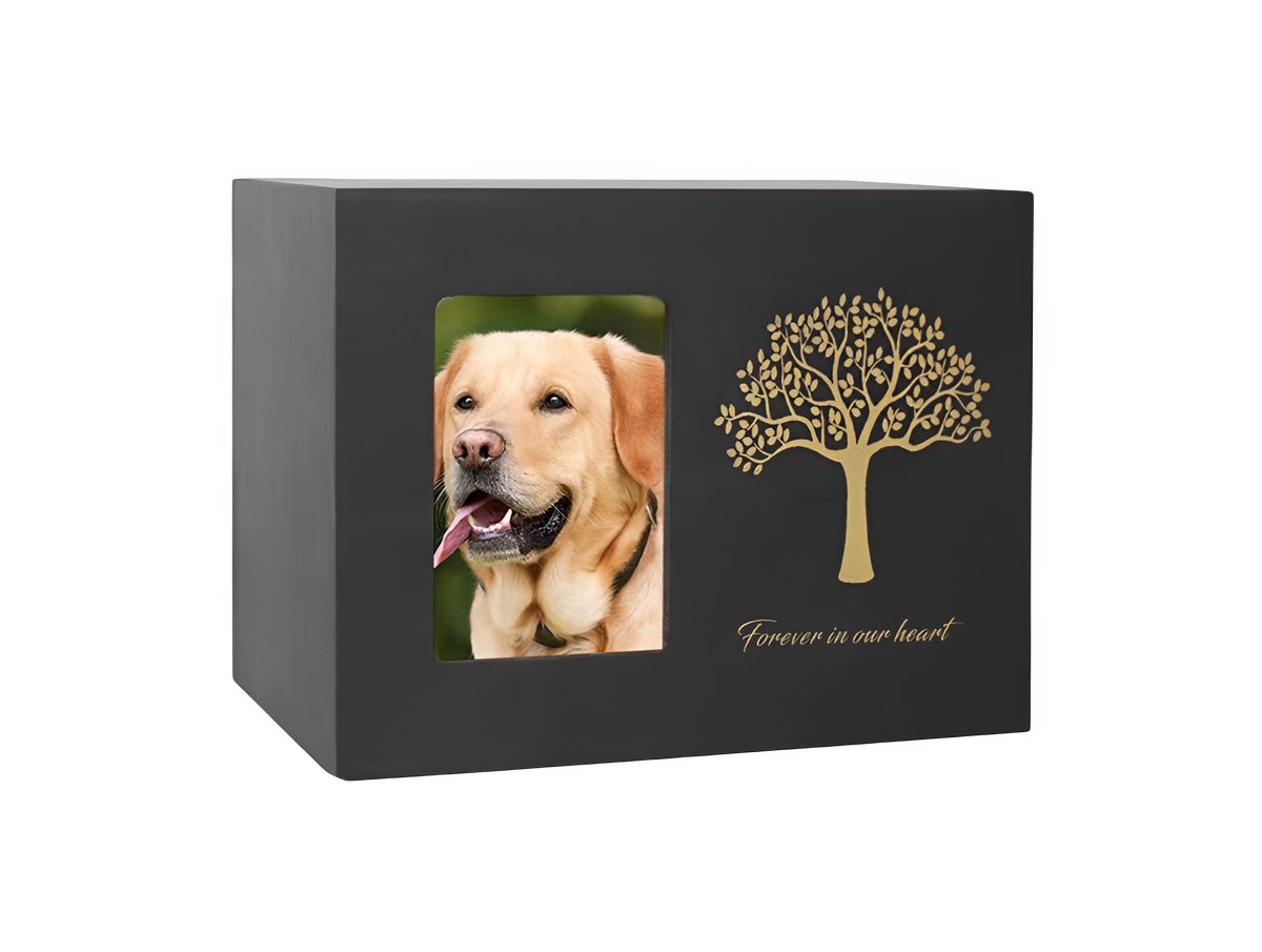 Bol.com Artic Ebonwood Urn – Zwart – 700ML – Huisdieren Urn – Gelakt Hout – Met Fotolijstje – Inclusief Fluwelen Zakje voor As –... aanbieding