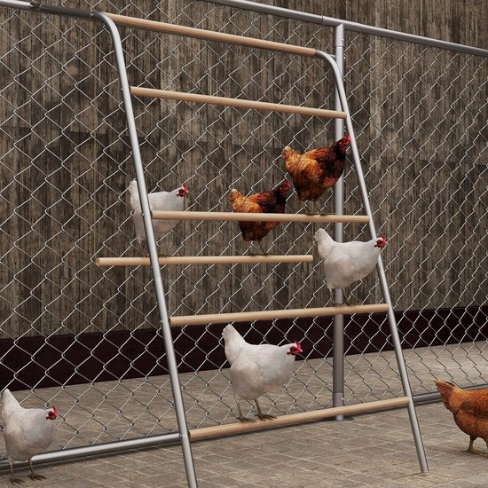 Zes kippen, bruine en witte, zitten en staan op een metalen en houten ladder voor een hoge draadomheining met houten achterwand.
