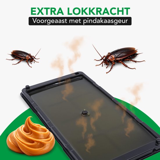 Twee kakkerlakken bij een Jardon lijmval met pindakaasgeur. De tekst is 'Extra lokkracht'.