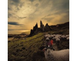 Sheeple