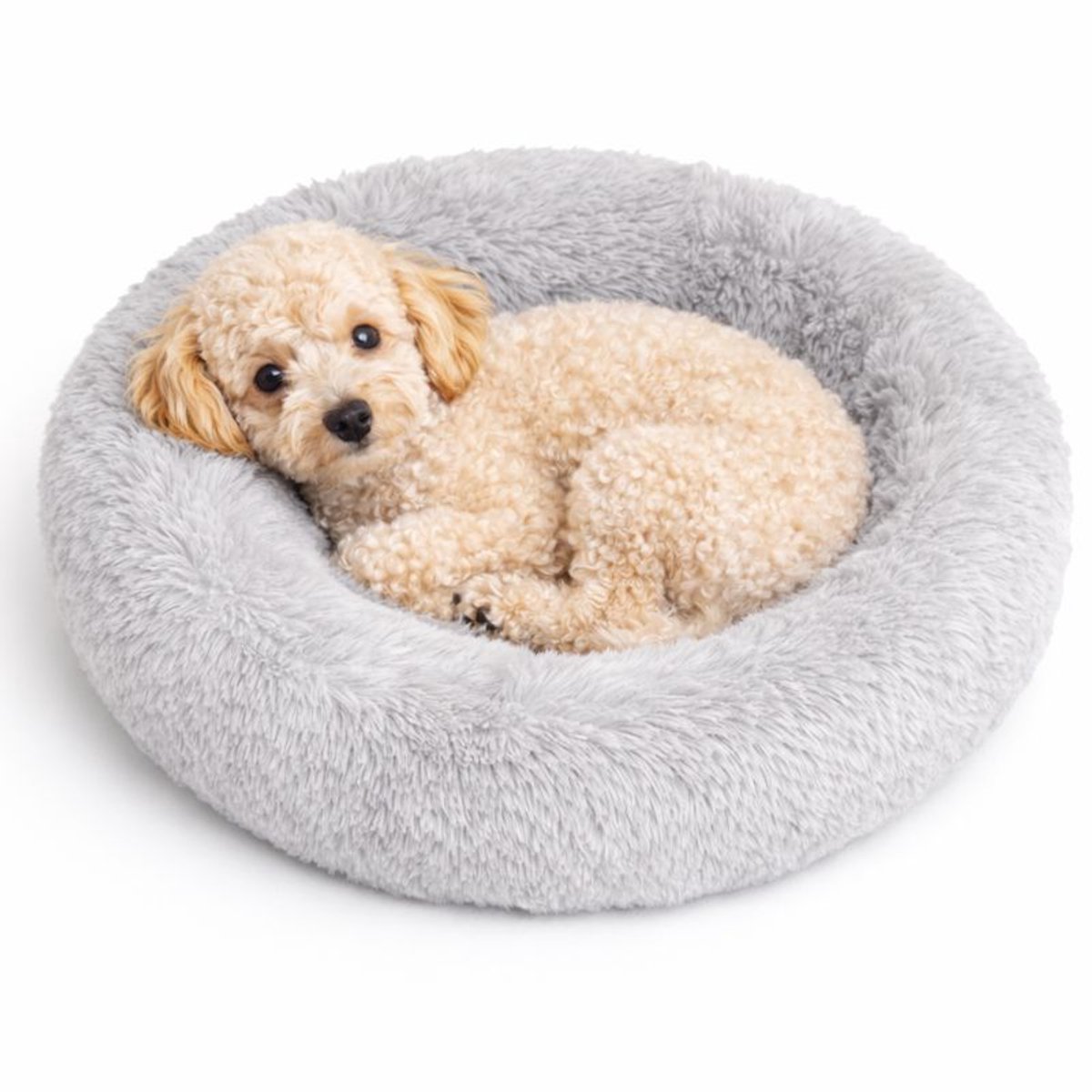 Bol.com Dailyibed hondenmand - donut - hondenkussen - hondenbed - XXL - 80x80x16 cm - Grijs aanbieding