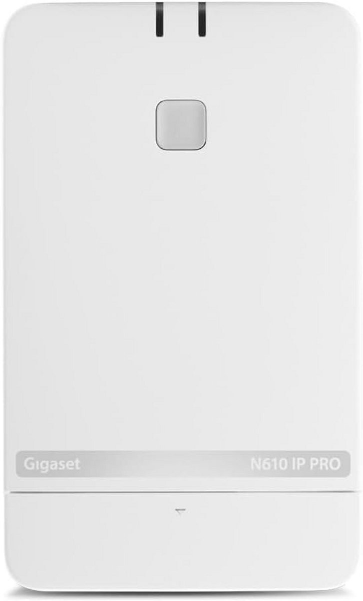 IP DECT Basisstation met Draadloze Handset voor Professionals