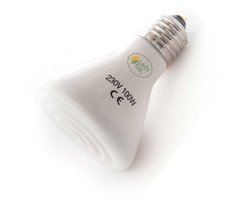 LayZyEgg® Keramische Infrarood Warmtelamp 100 Watt – Donkerstraler zonder licht - E27 Fitting - 20.000 Branduren – Warmtebron – Geschikt voor Terrarium & Opfok – Voor Kuikens, Reptielen, Pulletjes, Pups & Kittens