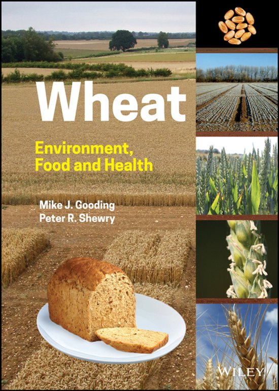 Wheat - cover