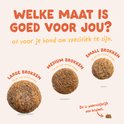 Drie maten hondenbrokken: Large (18mm), Medium (14mm) en Small (10mm). Tekst 'Welke maat is goed voor jou?'