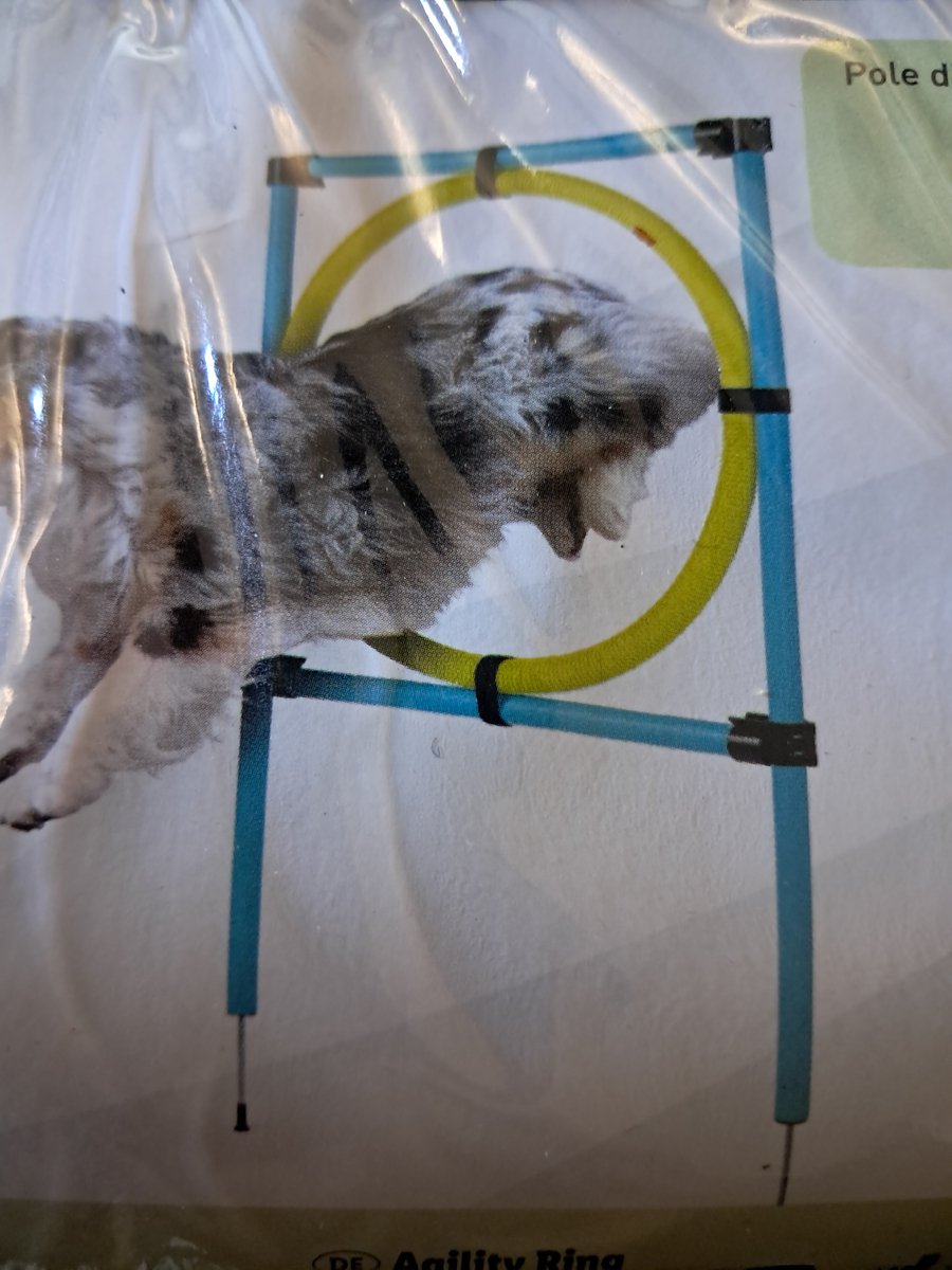Zoofari Agility Ring - Springring ca. 65 cm - 9- delig