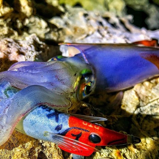 Aas voor Hoofdtelefoon - Nachtelijke Visgerei - Octopus Vissen - UV Reactieve Kleuren - 3.0 EGI - Roze — afbeelding 2