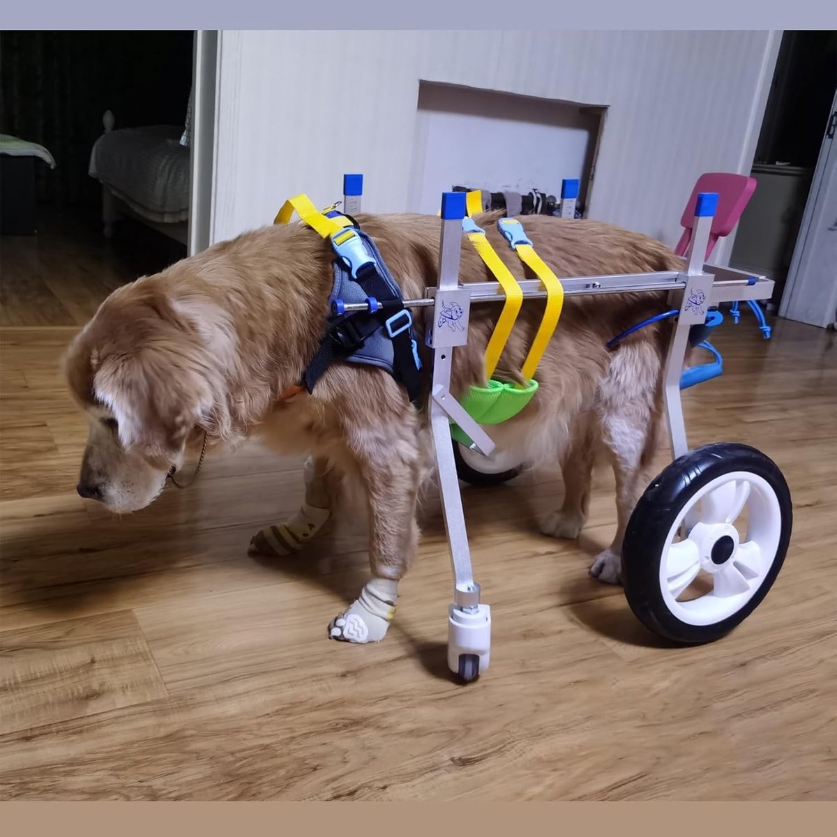 Hondenrolstoel 4 wielen - Mobiliteitshulp hond - Ondersteuning lopen - Lichtgewicht aluminium - Maat M