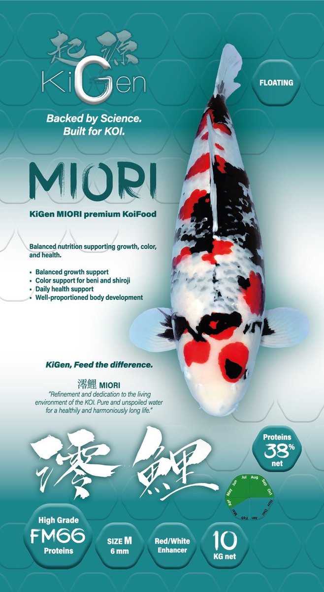 KiGen Koivoer Miori Premium 6mm 1,2 Kg