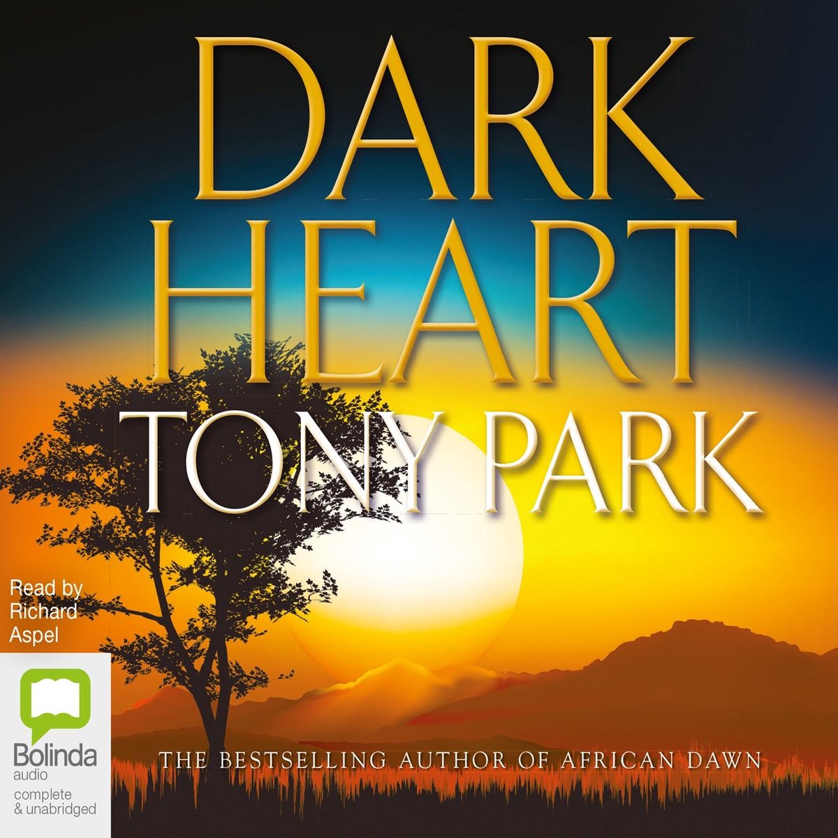 Omslag van Dark Heart