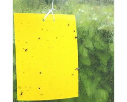 gele lijmvallen 20 stuks vangplaten, 15x20cm, vangkaarten, lijmplaten tegen insecten zoals rouwvliegjes, witte vlieg, bladluis en mineervliegen geschikt voor binnen, buiten, kweektent of kas