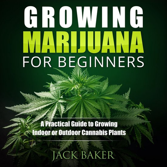 Growing Marijuana for Beginners - cover