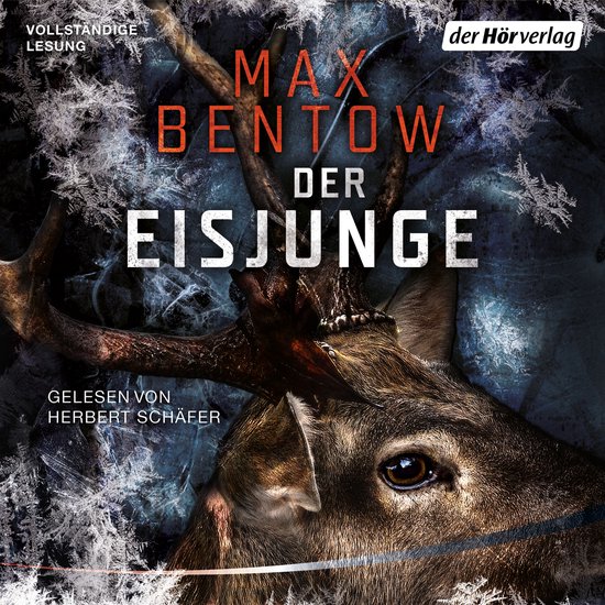 Der Eisjunge - cover