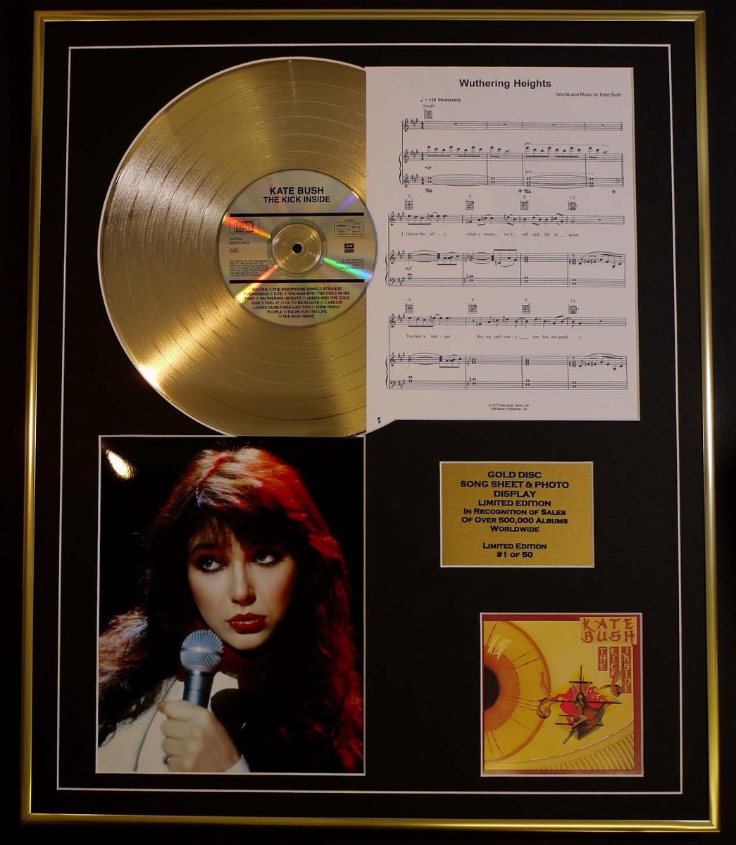 Muziek Memorabilia - Gouden Plaat - Verzamelen - Gelimiteerde Oplage - 60x50 cm - Goud