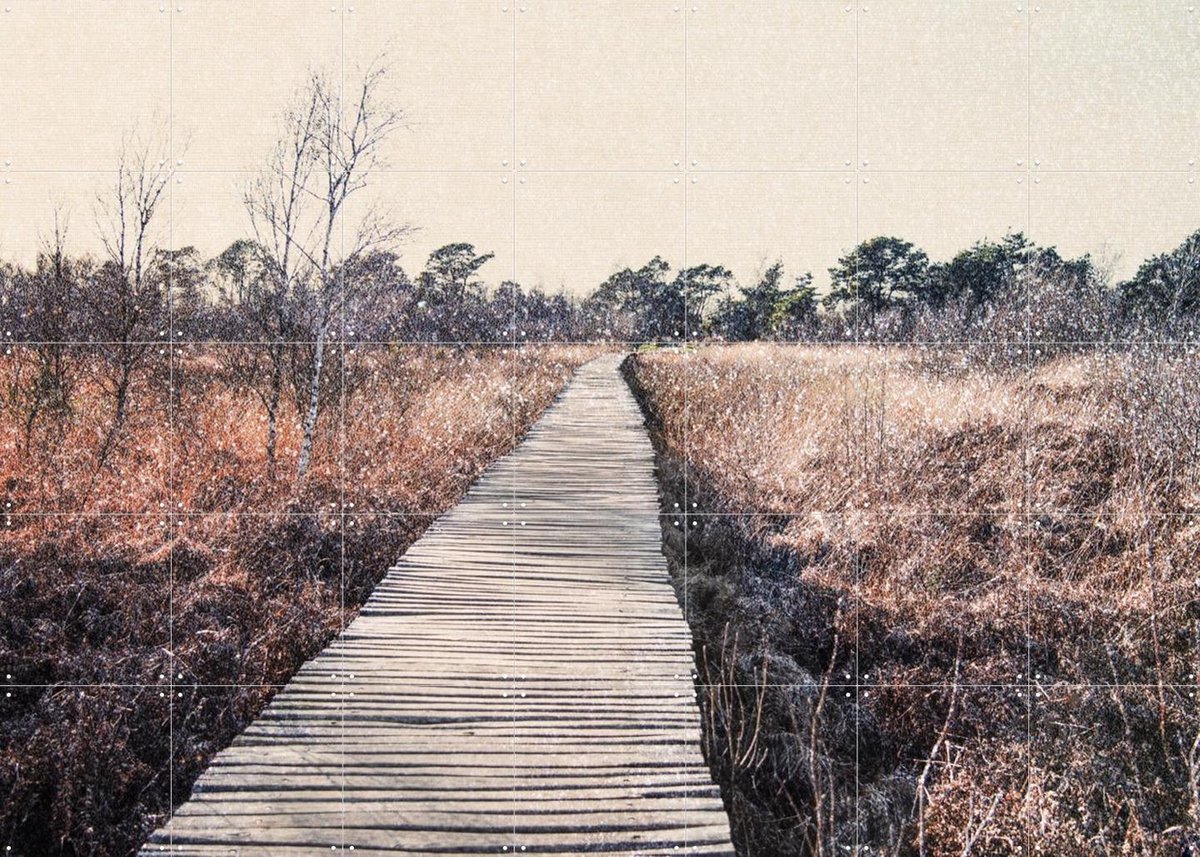 IXXI Dreamy Landscape, Photolovers - 140 x 100 cm - Gratis ophangtool - Grote wanddecoratie en posters - Realisme, Fotografie, Strandhuis, Woonkamer