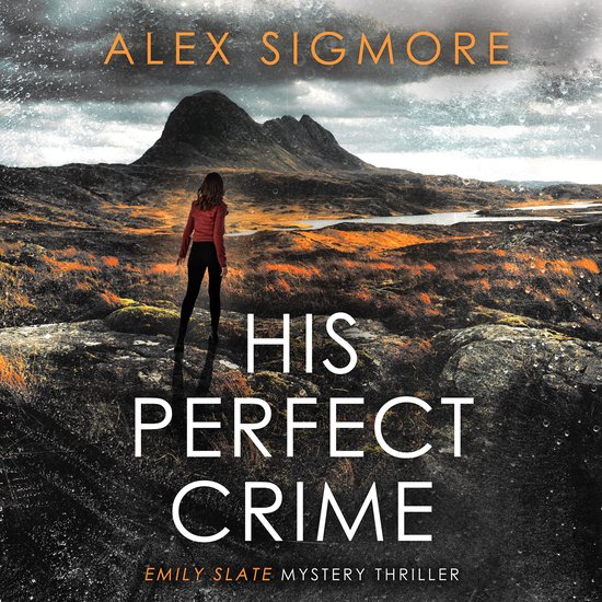 His Perfect Crime - cover