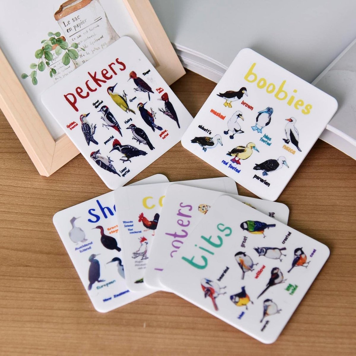 Vogel Onderzetters - Artistiek Decor - Tafel Beschermen - Set van Zes - 10x10cm