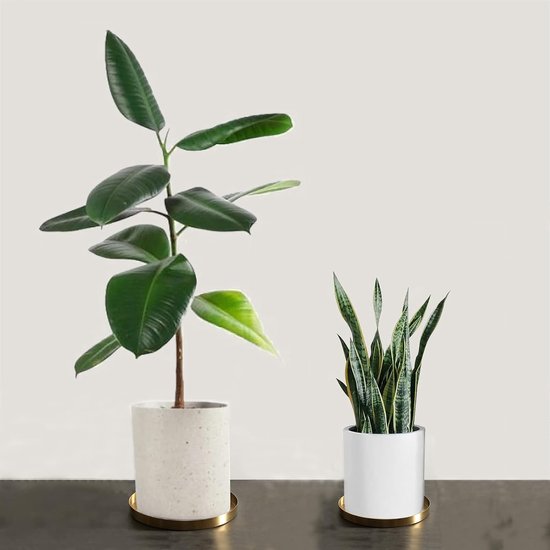 1 stks RVS Plantenbak Schotel (30 cm x 2.6 cm), Ronde Bloempot Druppelbakken, Gouden Bloempot Tray, Grote Metalen Plant Pot Schotels, voor Verzamelt Tuin Ingemaakte Drainage en Overtollig Water van Merkloos	 — afbeelding 3