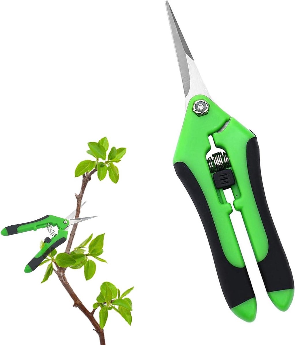 Kleine snoeischaar voor tuinieren en bonsai - Rechte punt voor fruit, bloemen, takken - Tuinschaar met ergonomisch handvat
