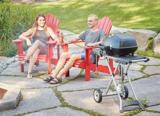 Napoleon TravelQ PRO 285X gas bbq van Napoleon — afbeelding 4