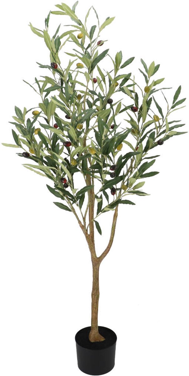 Daan Kromhout - Olijfboom - Kunst - 96 cm - Kunstplant - Mediterrane Decoratie - Potmaat 13x13 cm