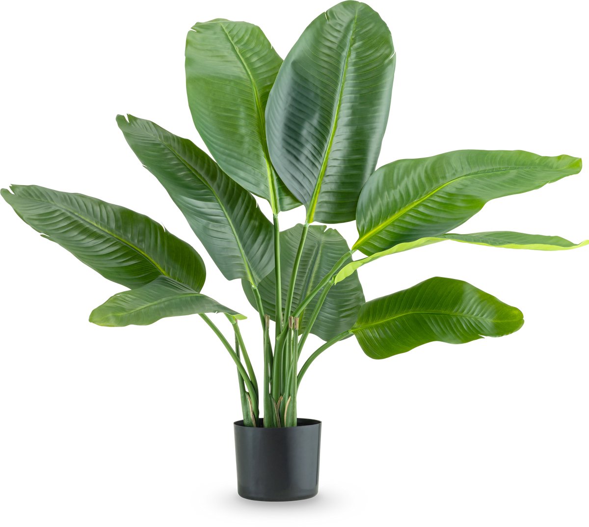 Easyplants | Kunstplant Strelitzia Real Touch Deluxe 90 cm | Zijde | Strelitzia | Groen