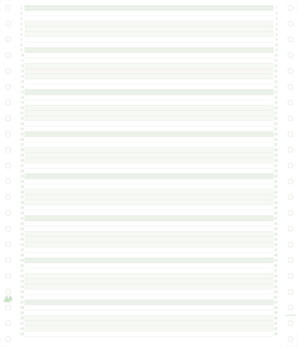 Exacompta 2000 listingbladen in zones verdeeld 240x11 niet afscheurbare Caroll banden papier 60g - Groen - 62211E
