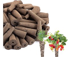 Vervangende Plantenspons - 100 Stuks - Lantengroeipluggen Voor Hydrocultuur - 2 X 6.2 X 1 Cm - Vervangende Kweeksponzen - Groeisponzen Geschikt Voor Gebruik Met Aerogarden - Geschikt Voor Hydrocultuurplantenteelt - Bruin