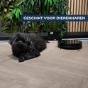 Zwarte robotstofzuiger en zwarte hond op houten vloer, met groene plantenwand.