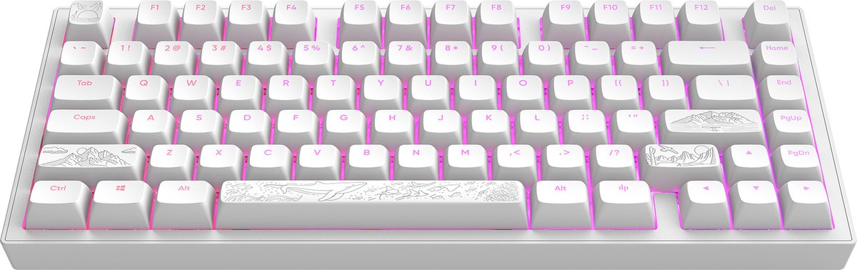 Dark Project ALU Terra Nostra R2 - Mechanisch Gaming Toetsenbord ANSI - Wit