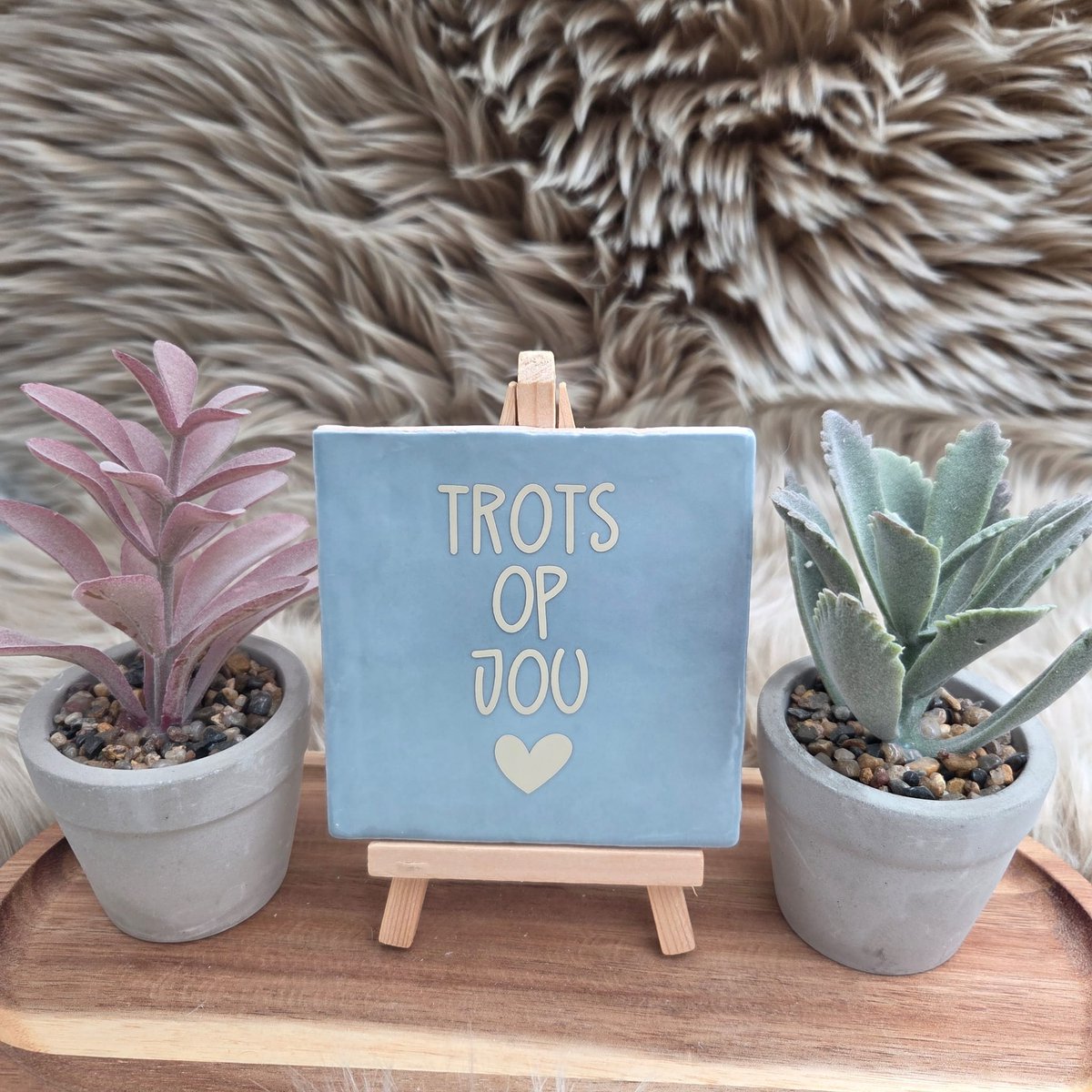 CreaCraft Robuust Wenstegeltje “Trots op Jou” – Lief Cadeautegeltje met Hartje – Trendy nu – Geslaagd – Vriend(in) – Familie – Gezin – Zomaar – Cadeau – Geslaagd – Decoratief Tegeltje met Standaard – Cadeau Idee Lichtblauw/Beige