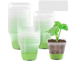 12 Stuks Vierkante Kweekpotjes - Met Siliconen Bodem & Afwatering - 10cm (4 Inch) - Transparant - Inclusief 12 Plantenlabels
